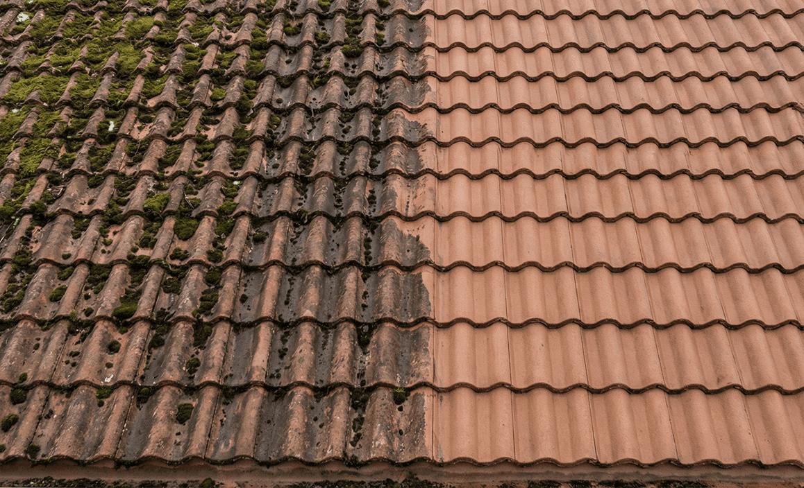 Vad kostar taktvätt? Prisguide 2026